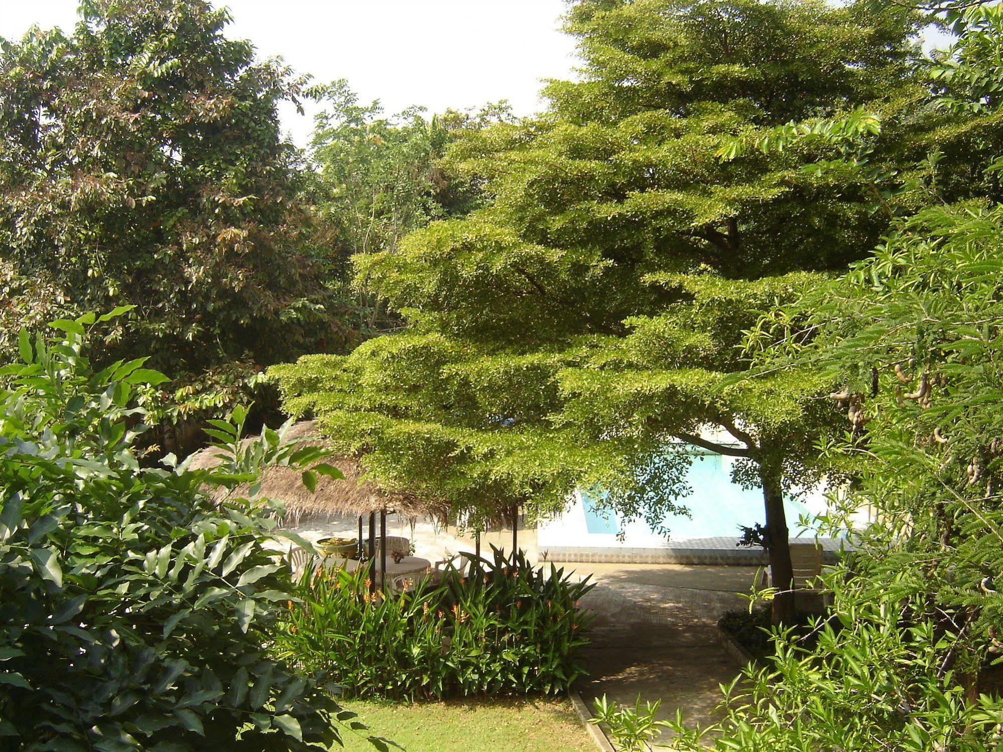 Golden Cupids Hotel เชียงใหม่ ภายนอก รูปภาพ